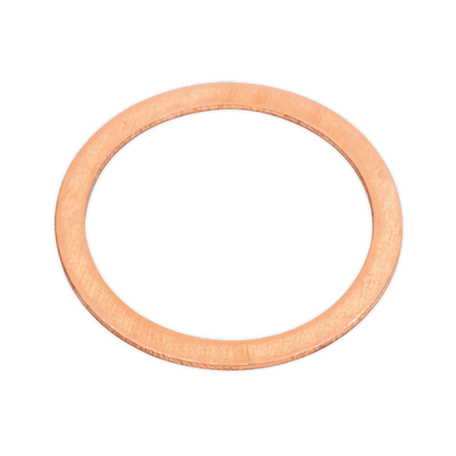 Copper Sealing Washer Assortment 250pc
