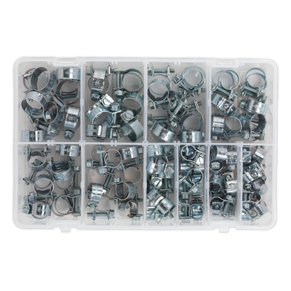 Mini Hose Clip Assortment 100pc