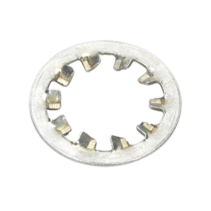Internal Serrated Lock Washer Assortment M5-M10 1000pc