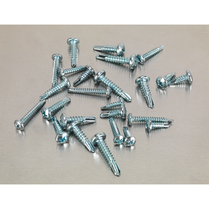 Zinc Plated Self-Drilling Screw Assortment Phillips Pan Head 500pc