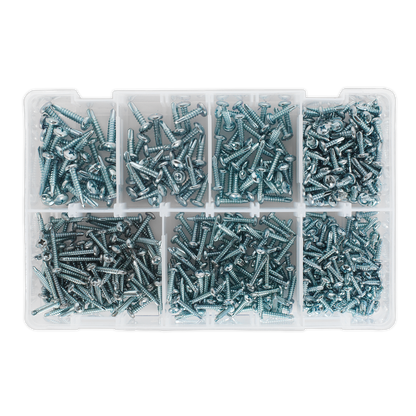Zinc Plated Self-Drilling Screw Assortment Phillips Pan Head 500pc