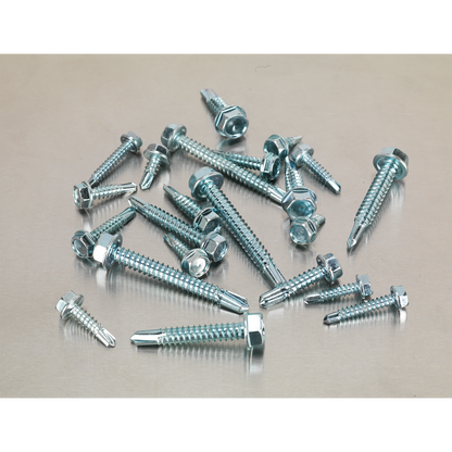 Zinc Plated Self-Drilling Screw Assortment Hex Head 410pc