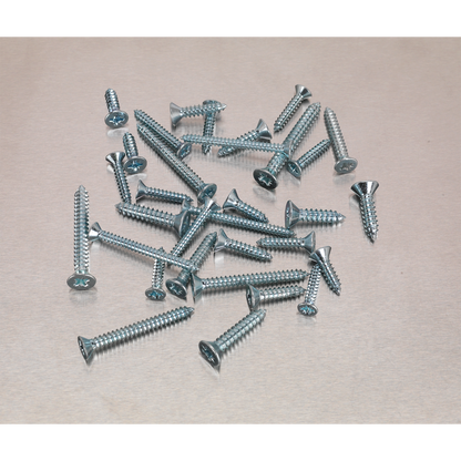 Zinc Plated Self-Tapping Countersunk Pozi Screw Assortment 600pc