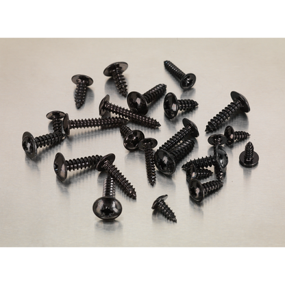 Self-Tapping Flanged Head Screw Assortment 700pc
