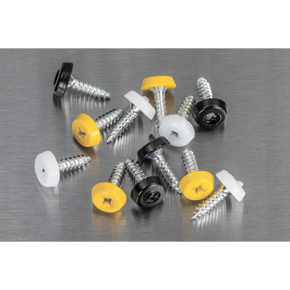 Numberplate Screw Assortment 4.8mm x 18mm 195pc - Plastic Enclosed Head