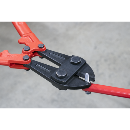Premier Bolt Cutters 750mm 13mm Capacity