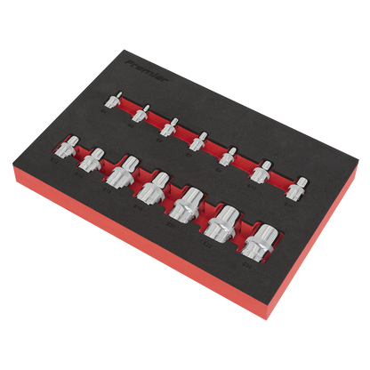 Premier TRX-Star* Socket Set 1/4", 3/8" & 1/2"Sq Drive 14pc