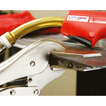 Premier C-Clamp & Welding Clamp Set 3pc