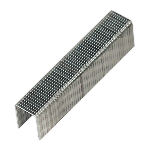Staples - Pack of 500