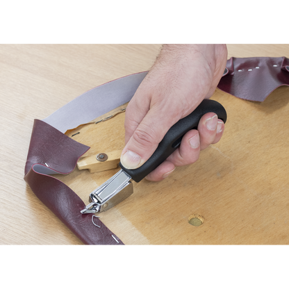 Premier Heavy-Duty Staple Remover