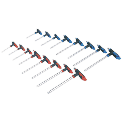 Premier T-Handle TRX-Star* & Hex Key Set 16pc