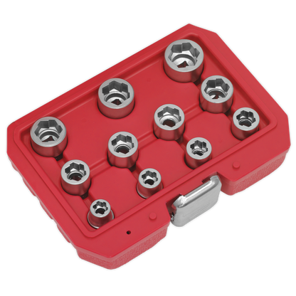 Premier Bolt Extractor Socket Set 3/8"Sq Drive 11pc