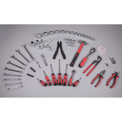 Mechanic's Tool Kit 100pc