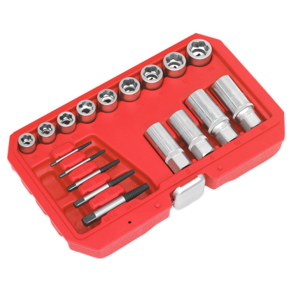 Premier Bolt, Stud & Screw Extractor Set 18pc