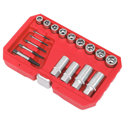 Premier Bolt, Stud & Screw Extractor Set 18pc