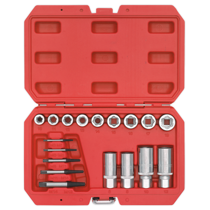 Premier Bolt, Stud & Screw Extractor Set 18pc