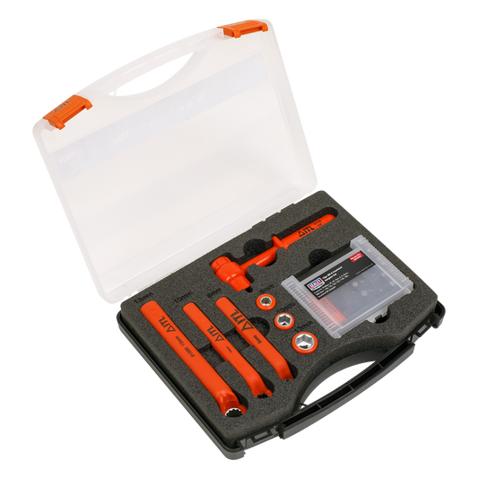 Premier Hybrid & Electric Vehicle Battery Tool Kit 19pc