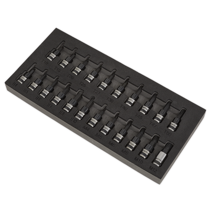 Premier Black TRX-Star*/Hex/Spline Socket Bit Set 3/8"Sq Drive 22pc