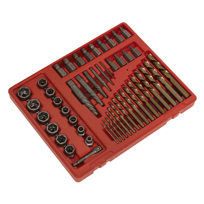 Master Extractor Set 49pc