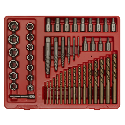 Master Extractor Set 49pc