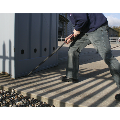 Premier Heavy-Duty 45° Pry Bar with Hammer Cap 1220mm