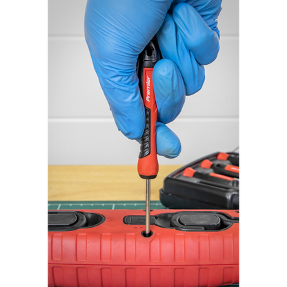 Premier Precision Screwdriver Set 6pc