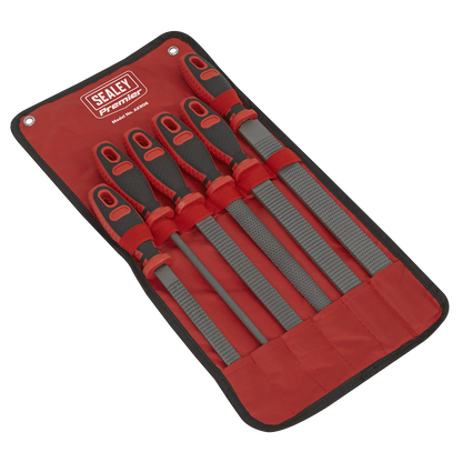 Premier Rasp File Set 6pc
