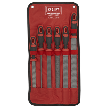 Premier Rasp File Set 6pc