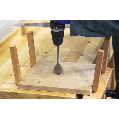 Woodworking Bench