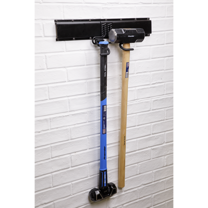 Double S Storage Hook
