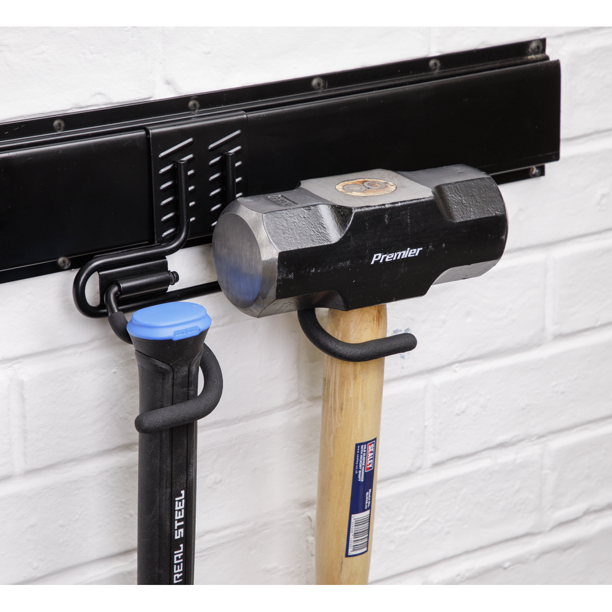 Double S Storage Hook