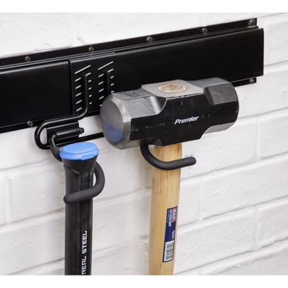 Double S Storage Hook