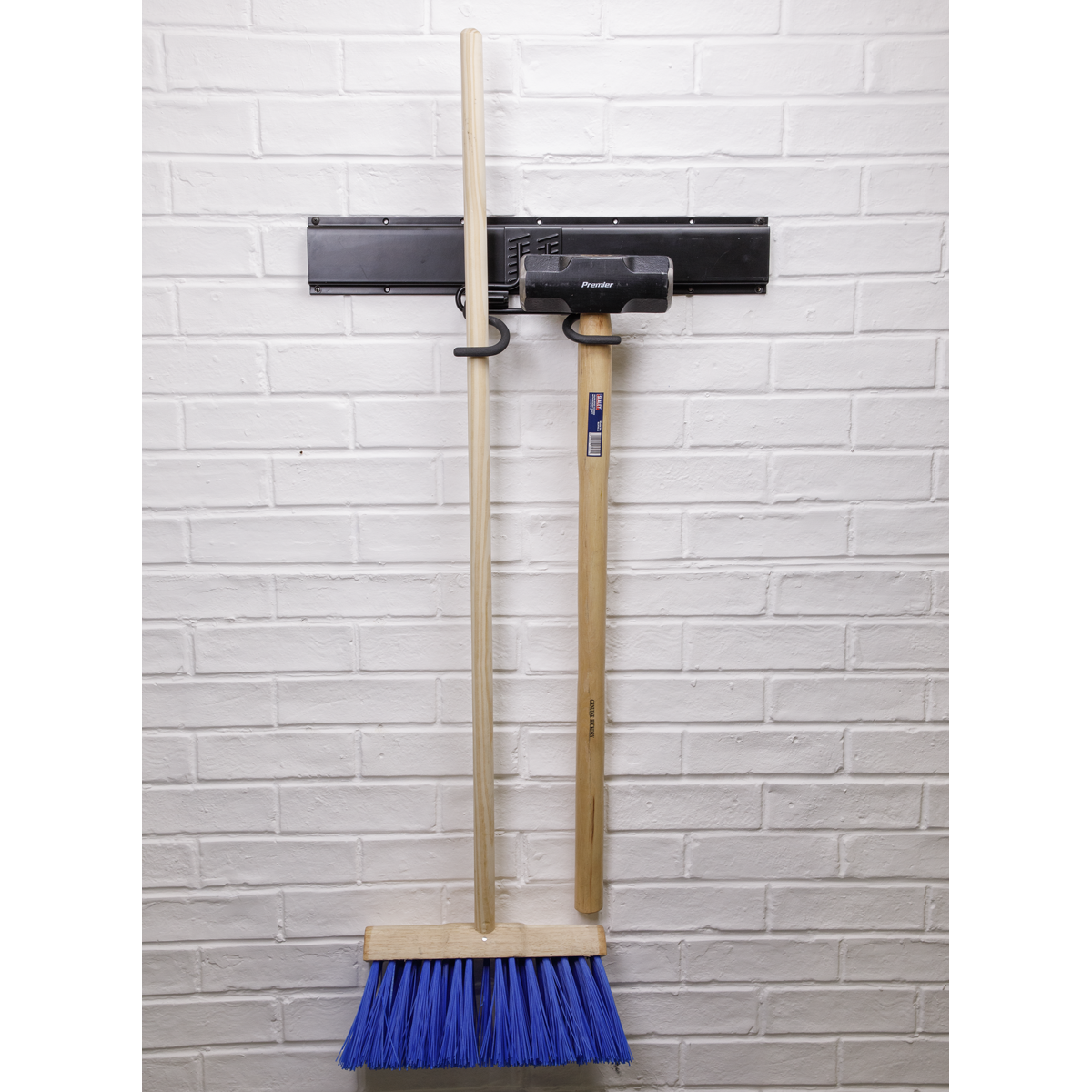 Double S Storage Hook