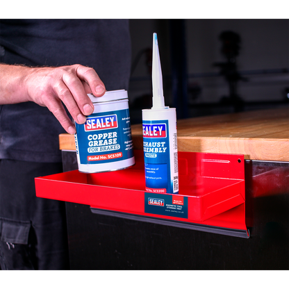 Magnetic Tool Storage Tray