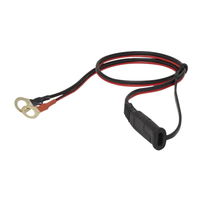 6/12V Compact Smart Trickle Charger & Maintainer 1A