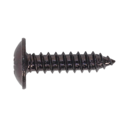 Self-Tapping Pozi Flanged Head Screw 4.8 x 19mm, Black - Pack of 100