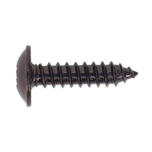 Self-Tapping Pozi Flanged Head Screw 4.8 x 19mm, Black - Pack of 100