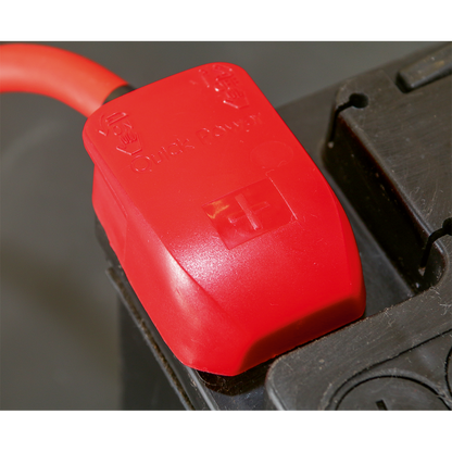 Quick Release Positive-Negative Battery Clamps - Pair