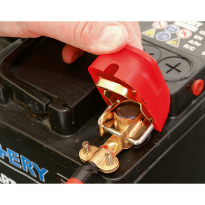 Quick Release Positive-Negative Battery Clamps - Pair