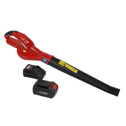 SV20 Series Cordless Leaf Blower with 20V 4Ah Battery & Charger
