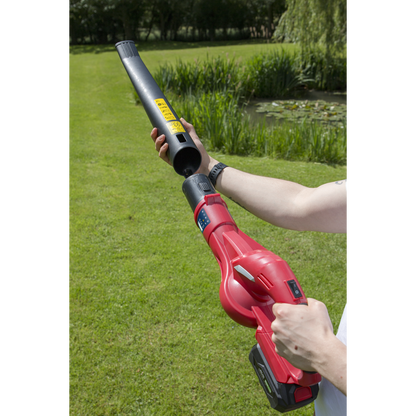 SV20 Series Cordless Leaf Blower with 20V 2Ah Battery & Charger