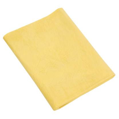PVA Chamois 2.5ft²