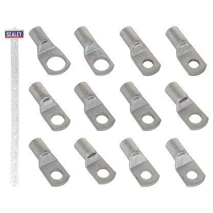 Clip Strip Deal - Copper Lug Terminals