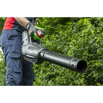 SV20 Series Cordless Blower 40V - Body Only