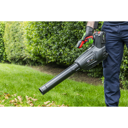 SV20 Series Cordless Blower 40V - Body Only