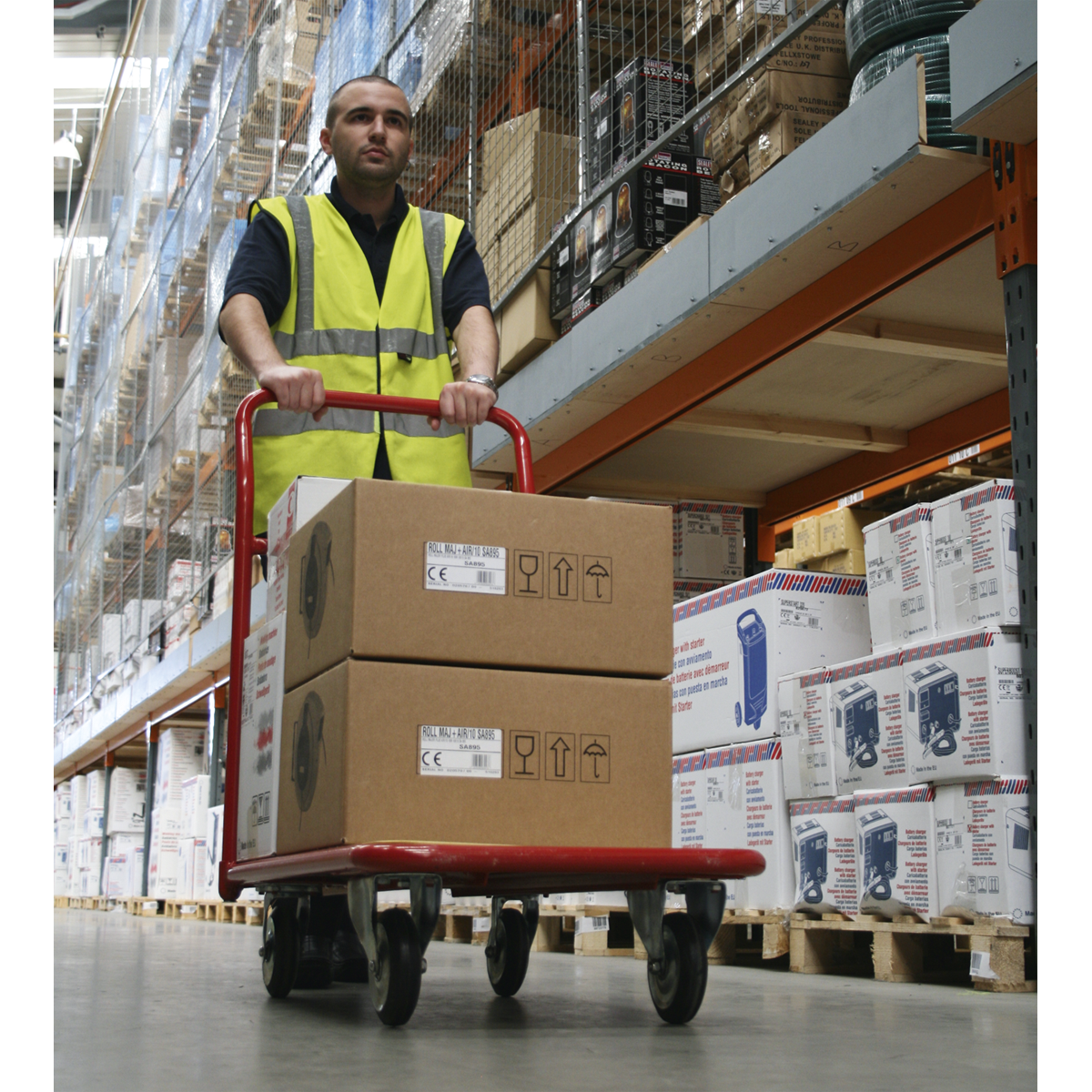 Heavy-Duty Platform Truck 250kg Capacity