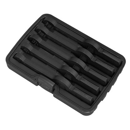 Brake Caliper Slogging Wrench Set 5pc