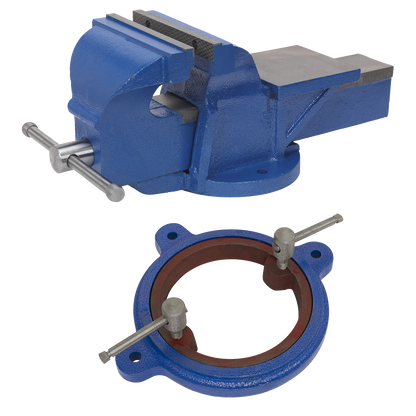 Heavy-Duty Professional Vice with Swivel Base 200mm