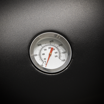 Dellonda 2 Burner Gas BBQ Grill with Piezo Ignition & Thermometer