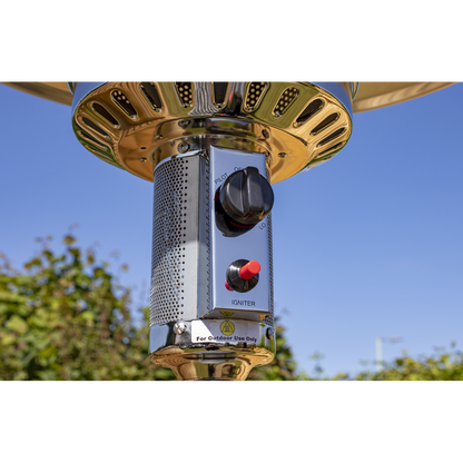 Dellonda Outdoor Garden Gas Patio Heater 13kW Commercial & Domestic Use, Stainless Steel